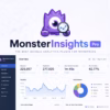 MonsterInsights Pro WordPress Analytics Plugin – Google Analytics Dashboard & Tracking